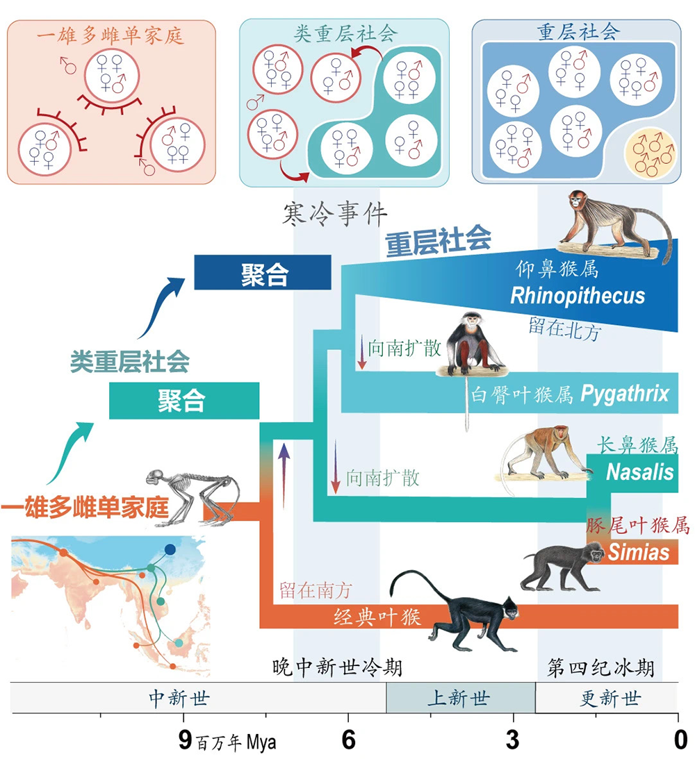 国产精品九九久久一区hh