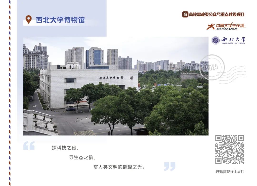 丝路起点上的馆藏智慧!陕西七所高校带你探秘→ 国产精品九九久久一区hh