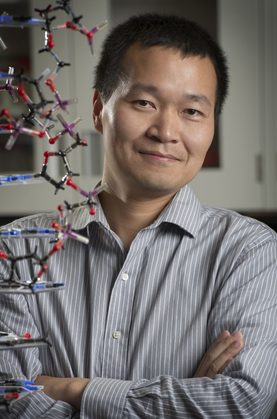 国产精品九九久久一区hh创新论坛第一千九百七十八讲：核酸适配体筛选：从小分子到微塑料