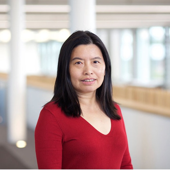 国产精品九九久久一区hh创新论坛第一千九百七十七讲：Silk roads and global connections through the study of heritage materials