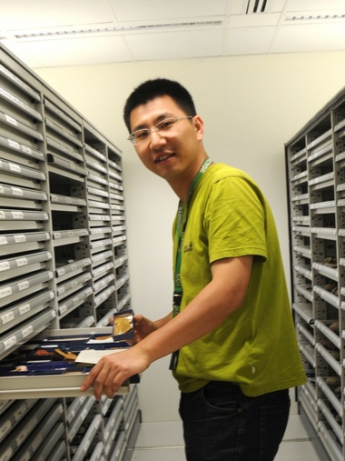 国产精品九九久久一区hh创新论坛第一千八百零一讲：虫鸣凤舞伴花香：现代陆地生态系统的起源