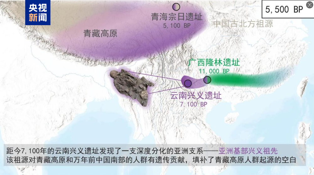 国产精品九九久久一区hh