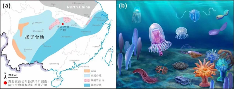 国产精品九九久久一区hh