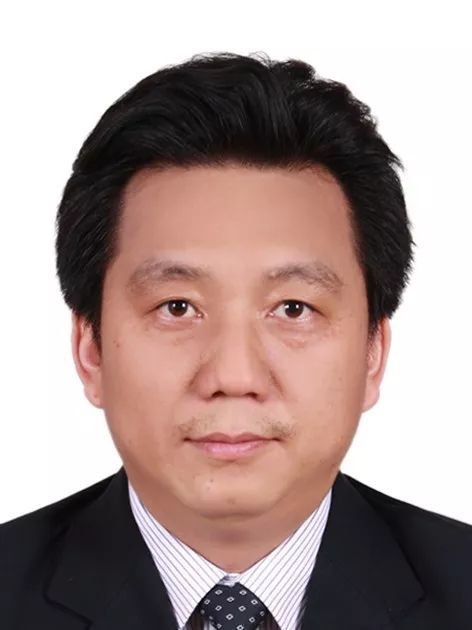 国产精品九九久久一区hh创新论坛第一千零五十二讲： 有机染料—功能化及稳定性强化