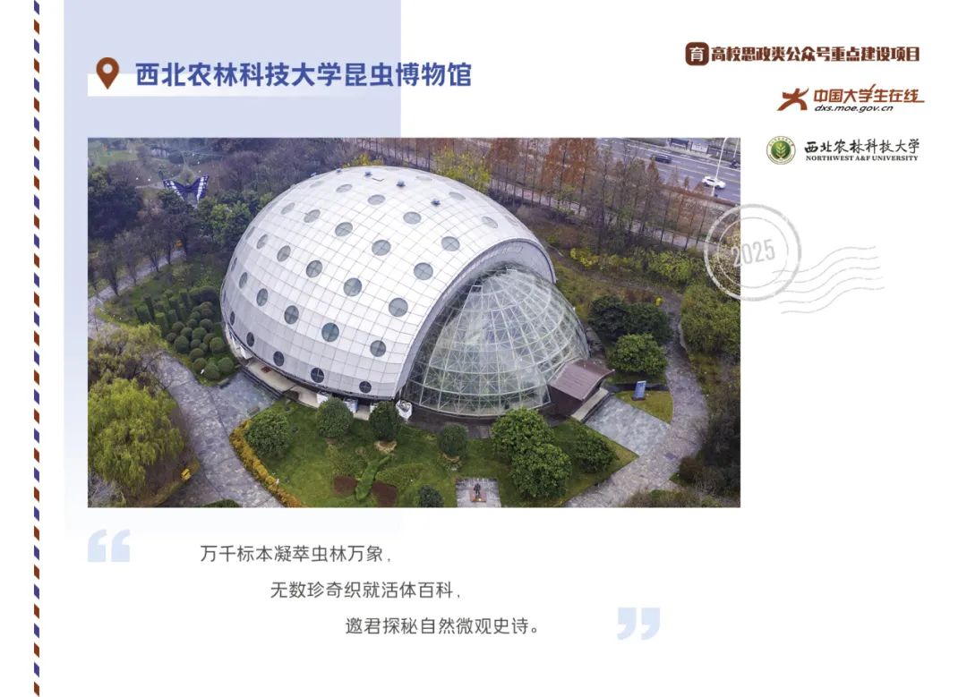 丝路起点上的馆藏智慧!陕西七所高校带你探秘→ 国产精品九九久久一区hh
