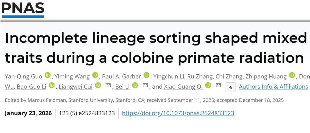 我校科研团队发表PNAS封面文章 揭示亚洲叶猴物种表型演化之谜