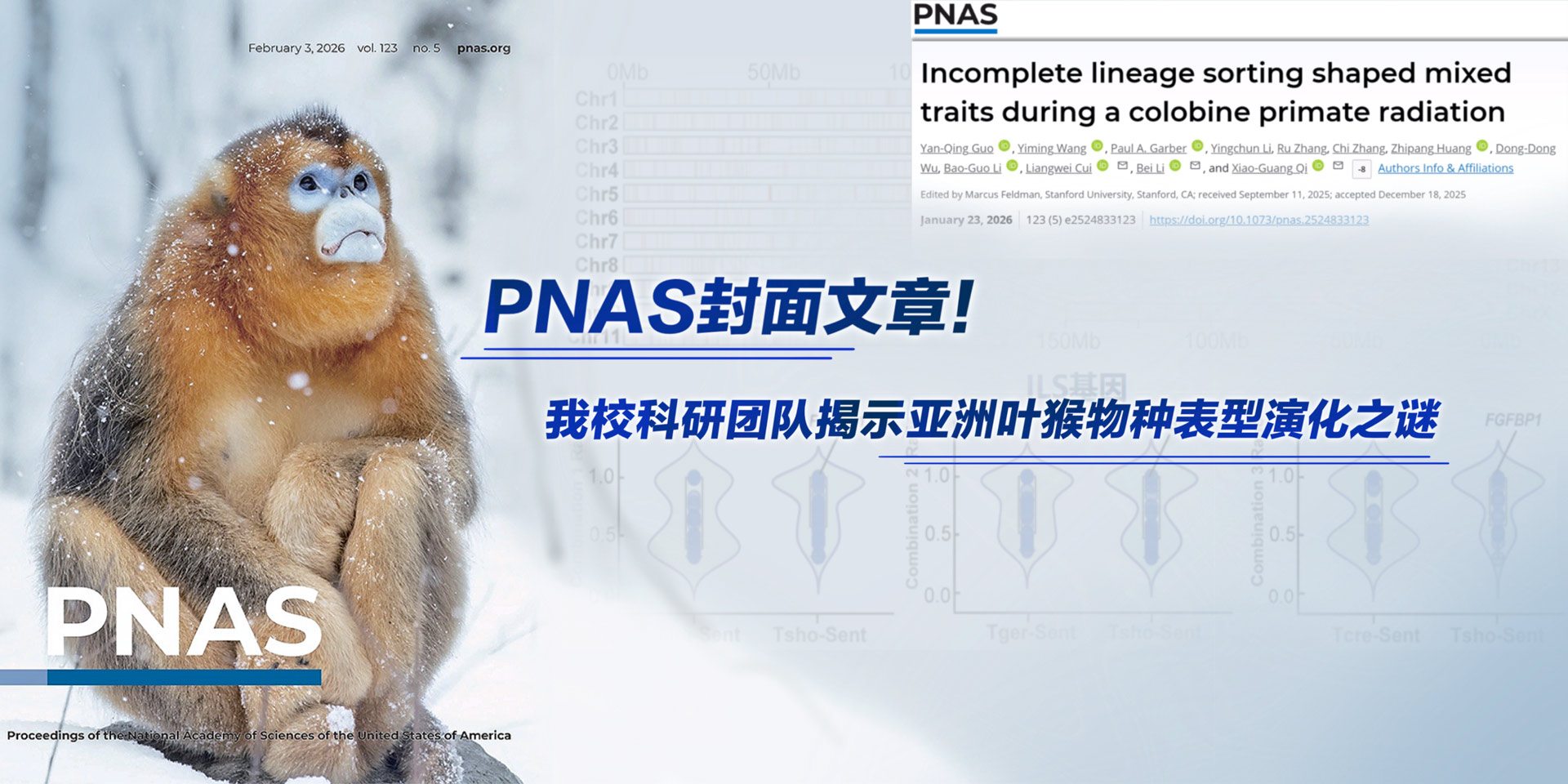 国产精品九九久久一区hh