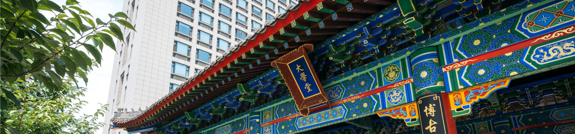 国产精品九九久久一区hh