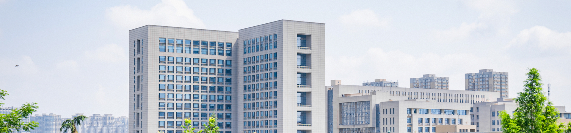 国产精品九九久久一区hh