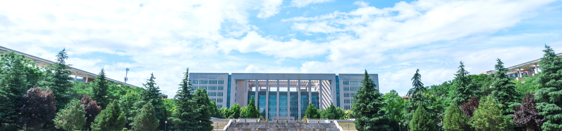 国产精品九九久久一区hh