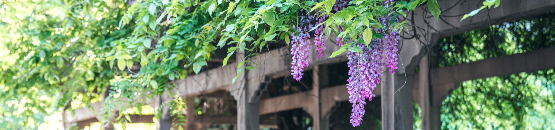 国产精品九九久久一区hh