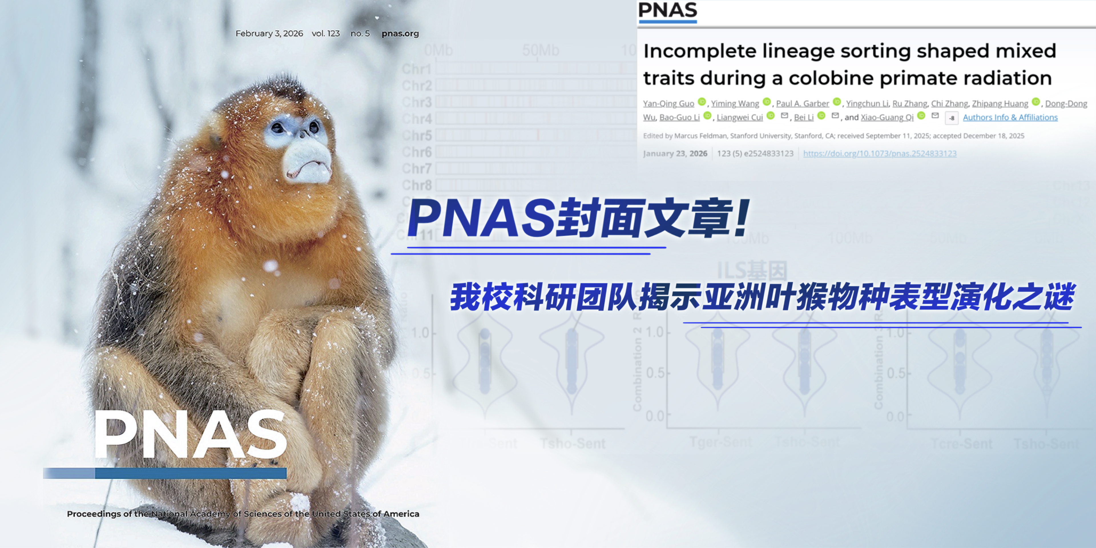 国产精品九九久久一区hh